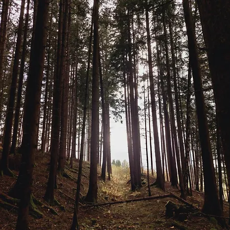 Leonhardbauer Apartmán Kleinfeistritz