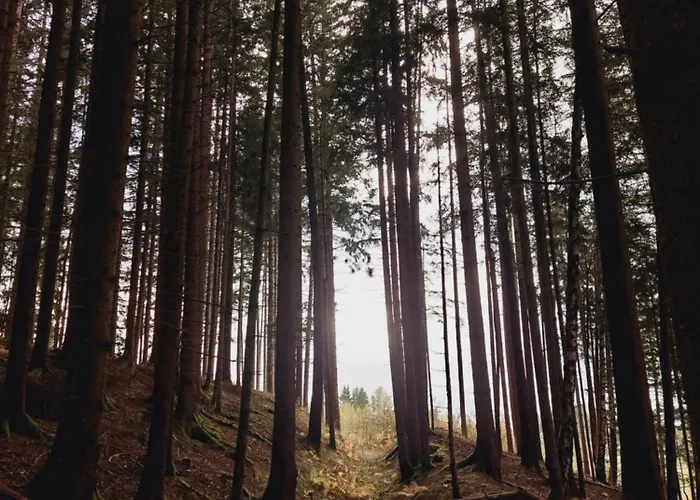 Leonhardbauer شقة Kleinfeistritz