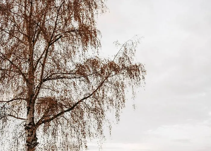 Leonhardbauer شقة *